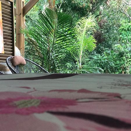 Le Lambablanc Bed and Breakfast Bras-Panon Exterior foto